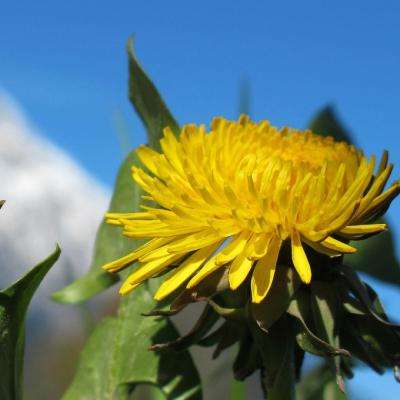 天博国际线上平台官网下载